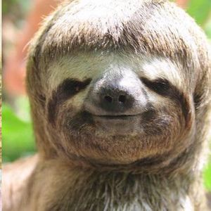 Meet your Posher, Stormy